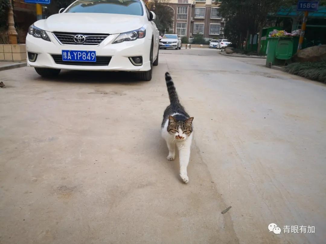 方城生活,住在房山良乡什么感觉