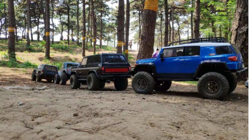 大型rc玩具 (德国玩具rc模型)