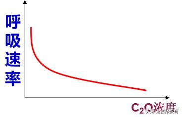 高中生物细胞呼吸作用,高中生物细胞呼吸