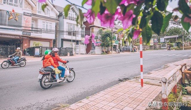 到了巴厘岛之后你会选择哪那种交通工具，包车还是租车
