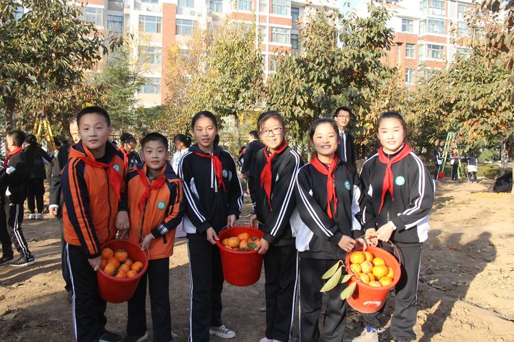 昌乐齐都实验学校：举行第四届“柿子熟了”采摘节活动