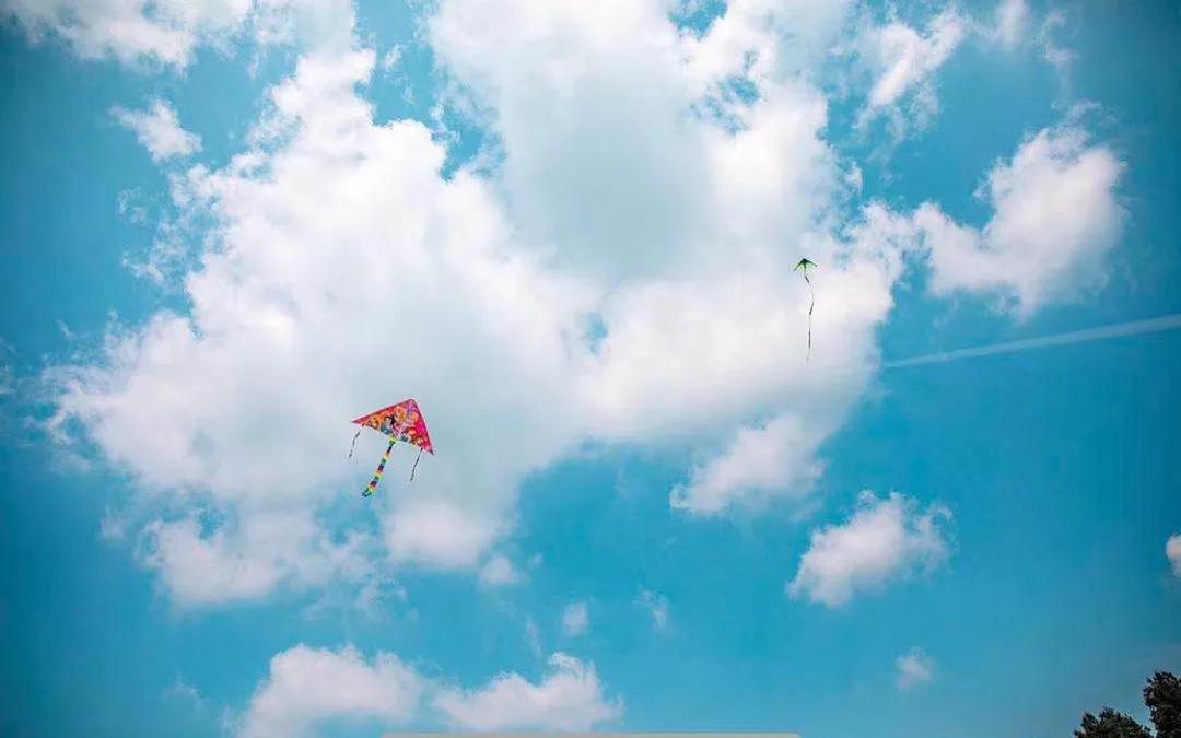 花仙谷横山,横山花仙谷是什么