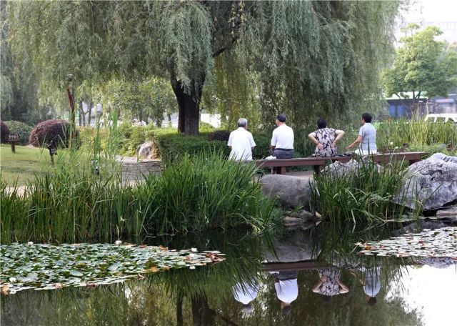 南京公园免费日期,免费公园南京