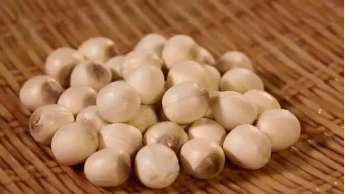 池塘里的“天然降脂药”,能吃能喝,能泡澡!还有这两个“养身宝”,你也别错过