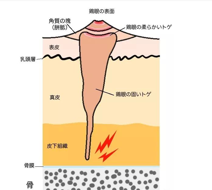 去法国必买10件东西,来法国要买什么东西