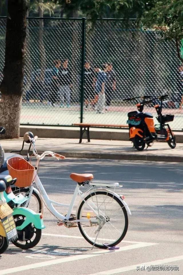 日落大道浪漫出逃歌词,在日落大道浪漫出逃下一句