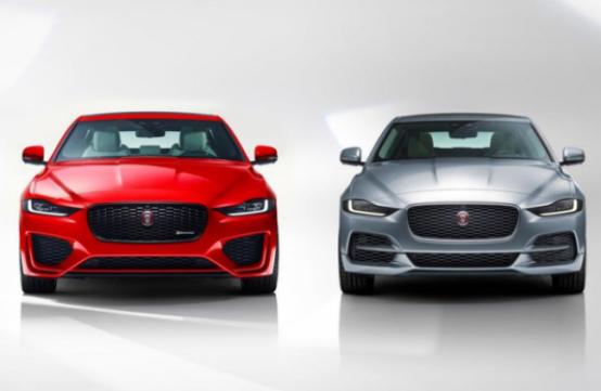 面对这样的“小豹子”,您还能管好自己的钱包吗?