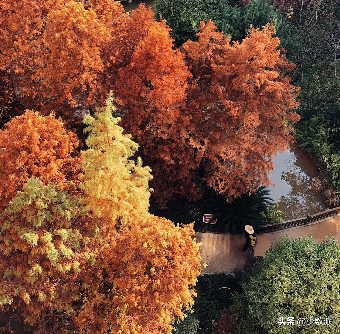 iPad是「无用的玩具」?用了一年,它为我打开了另一个世界
