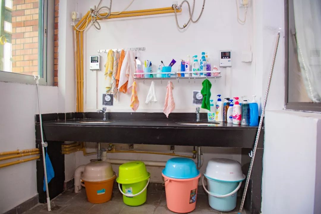 探校⑰丨小班化、导师制、全寄宿，七中培道教育联盟启航