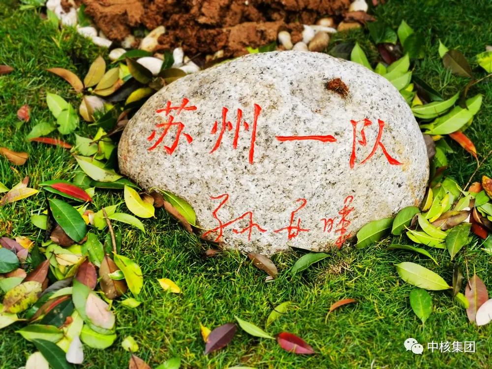 支援武汉的逆行者们平安归来,逆行无畏归来无恙