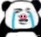 撞脸宋轶抖音,撞脸宋轶的人