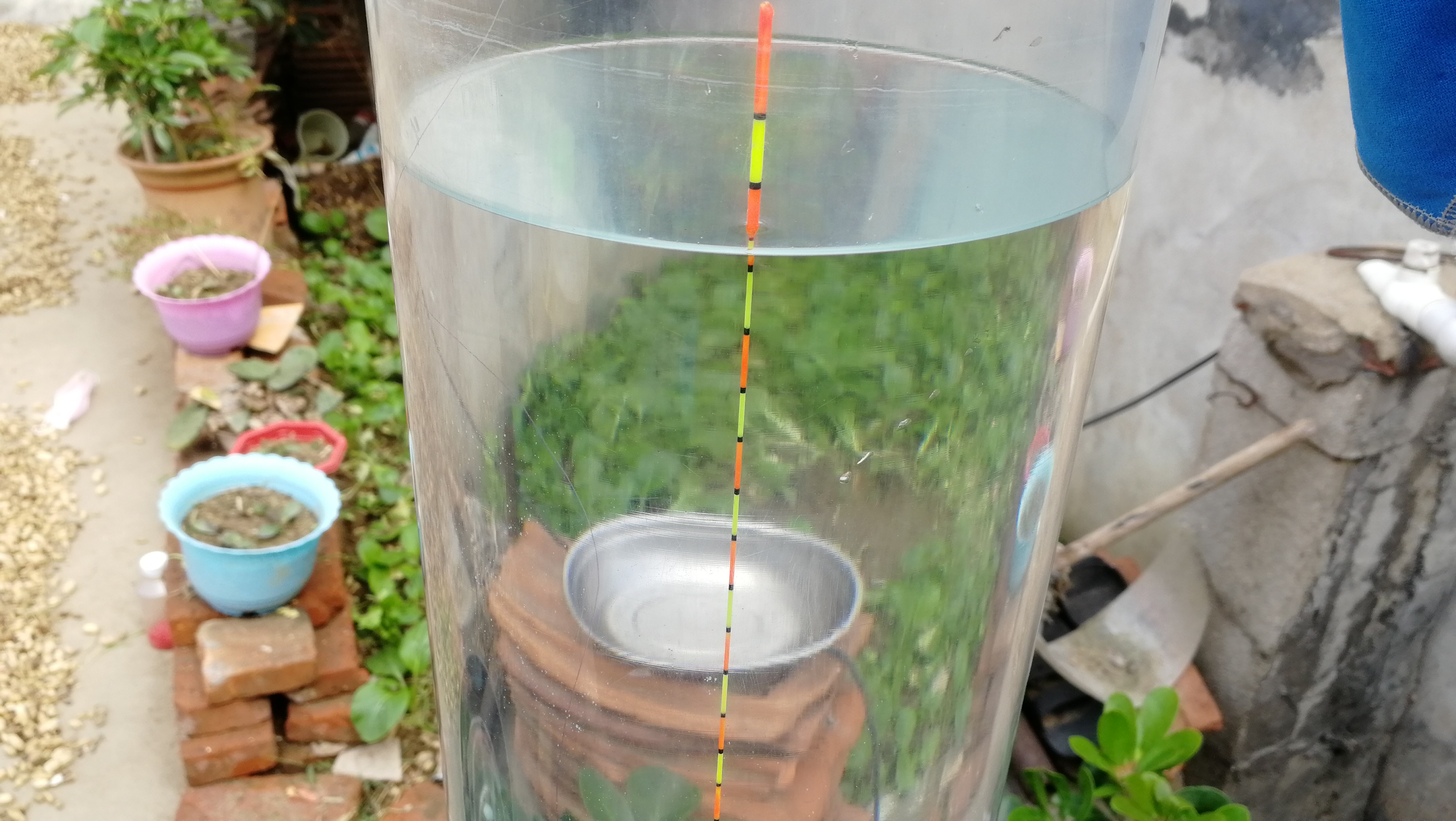 想把鱼养好,鱼要怎么钓才能钓上来呢