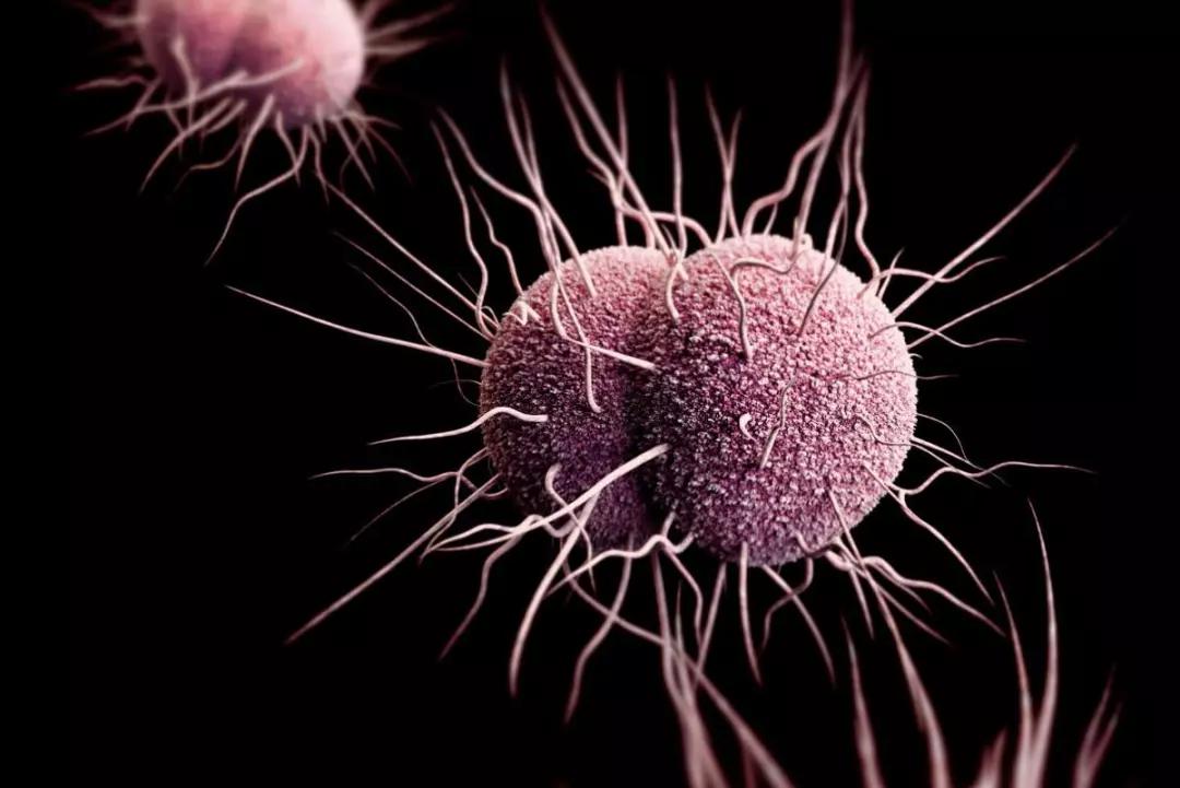 情人的眼泪后劲大,情人的眼泪前奏