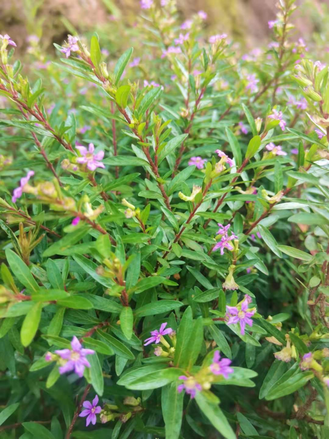 实用的工作述职报告模板汇总5篇,工作总结述职模板免费