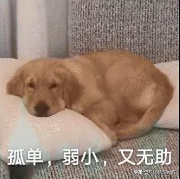 微信5.20版都有什么功能,微信5.21版功能介绍