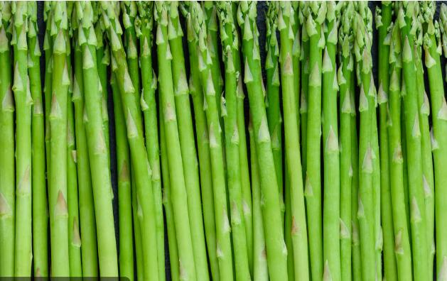 芦笋营养丰富，想吃不用花钱买，栽培简单自家阳台都能种