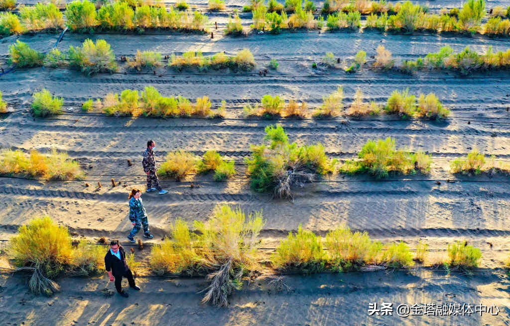 新疆兵团二师37团,新疆生产建设兵团二师22团