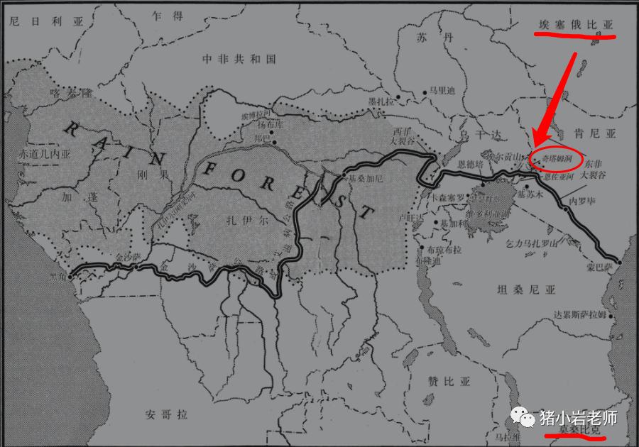 2020年都过完了，我才突然想起曾距这种致命病毒如此之近