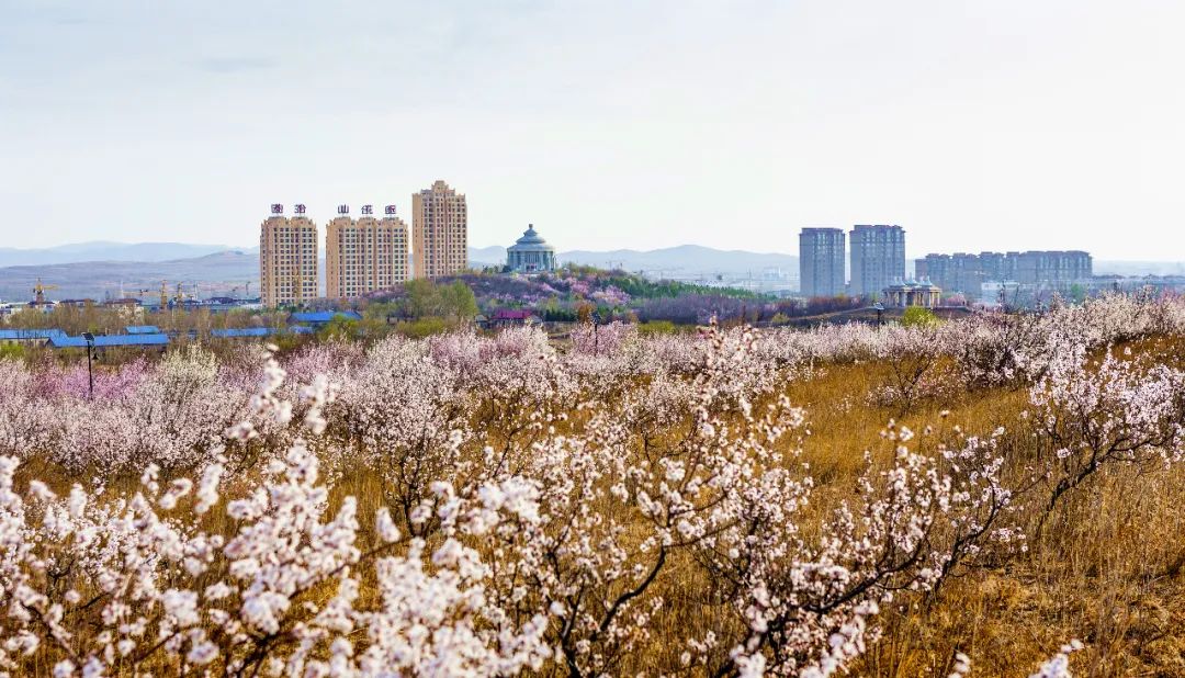 内蒙古通辽扎鲁特旗5条自驾游线路和景点攻略