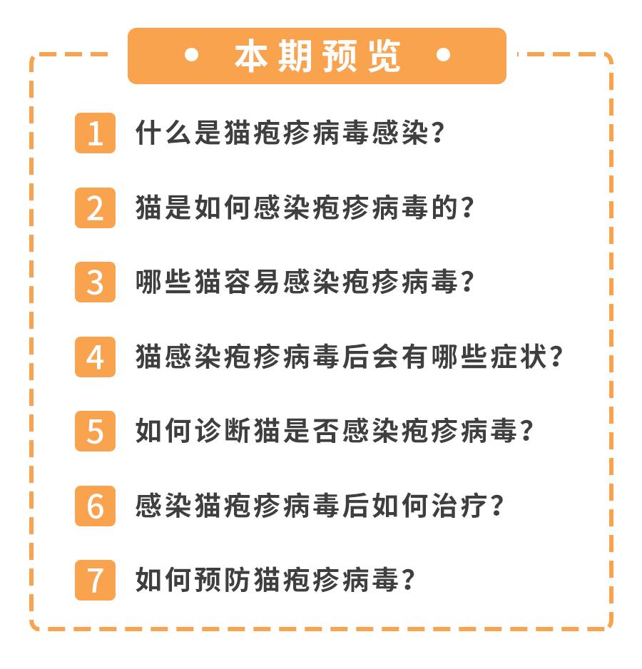猫感染疱疹咳嗽,猫有眼屎打喷嚏怎么回事