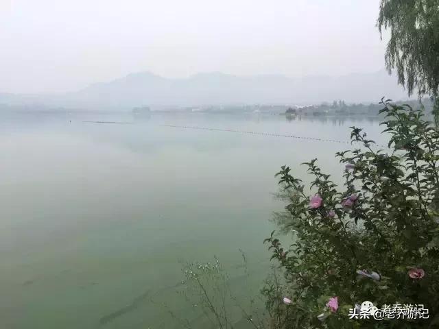 阳光有氧运动,阳光有氧跑步