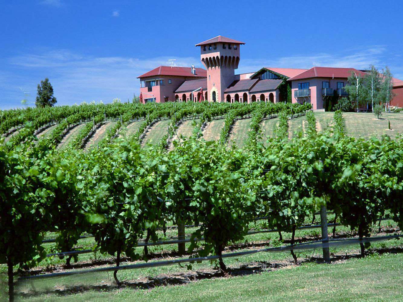 中华壮年女性！求求你们能不能别去旅游了