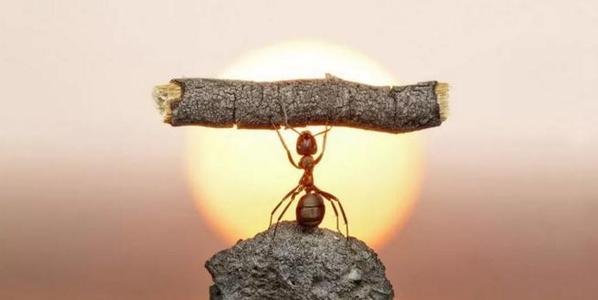 总是缺乏自信怎么办,总是缺乏勇气