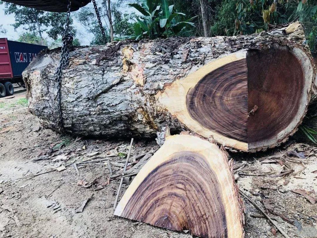 黑胡桃木实木地板什么档次,北美黑胡桃木地板多少钱一平