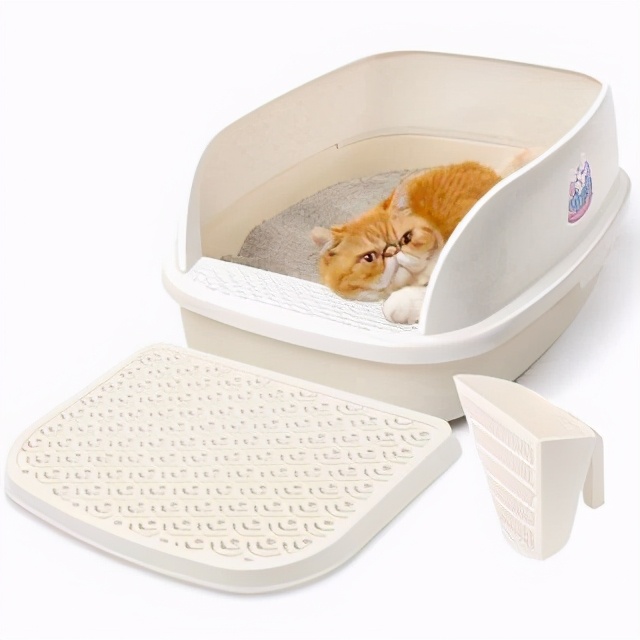 养猫必备物品需要多少钱,养猫必备物品羊奶粉