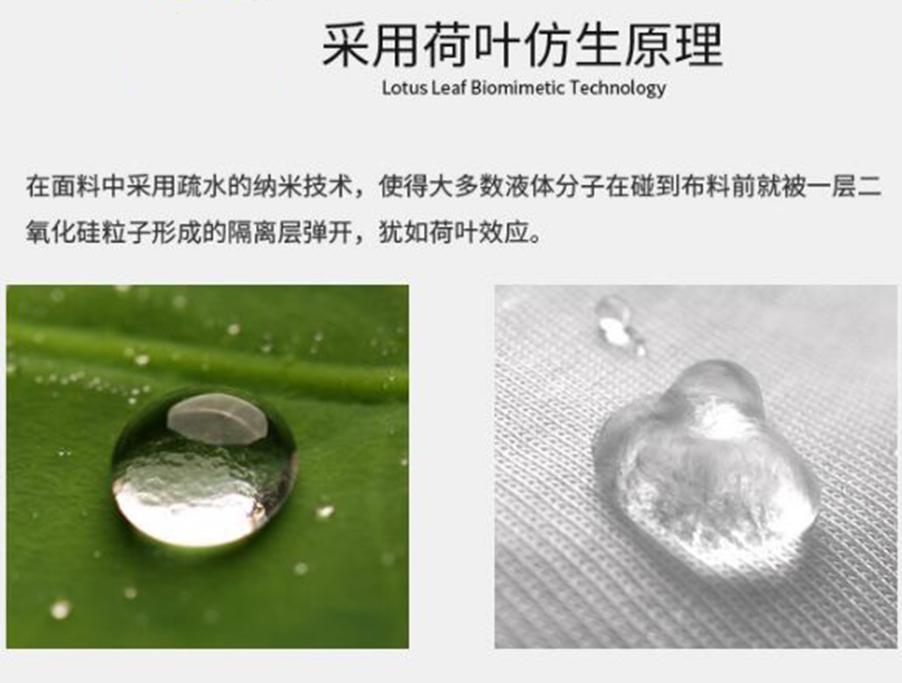 荷叶为什么出淤泥而不染读后感,荷叶出淤泥而不染濯清涟而不妖