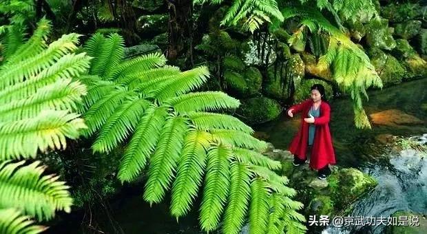 站桩引起的身体不适,站桩初期会有什么反应