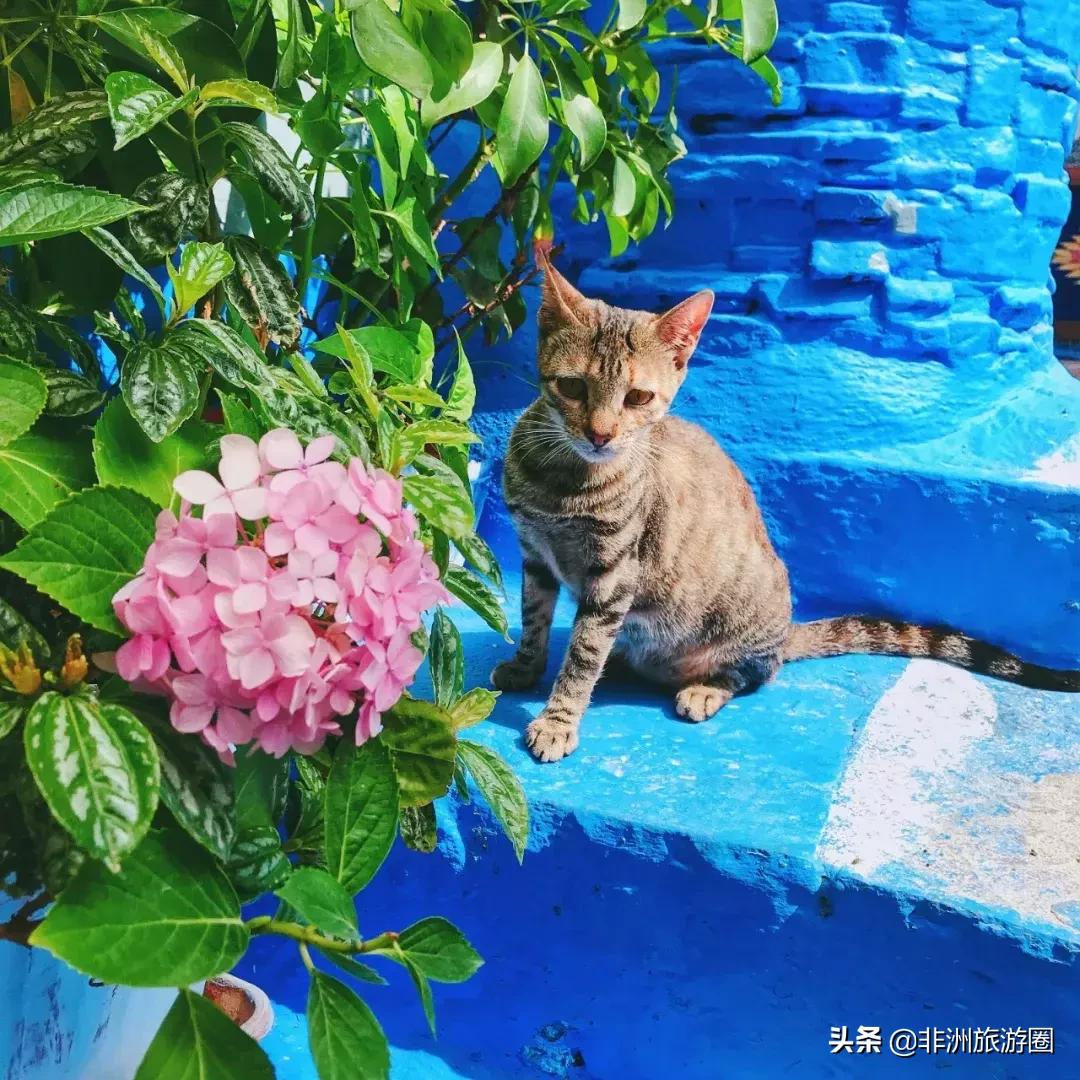 比欧洲便宜比希腊小众梦幻，这个免签的童话故事现实地千年摩洛哥