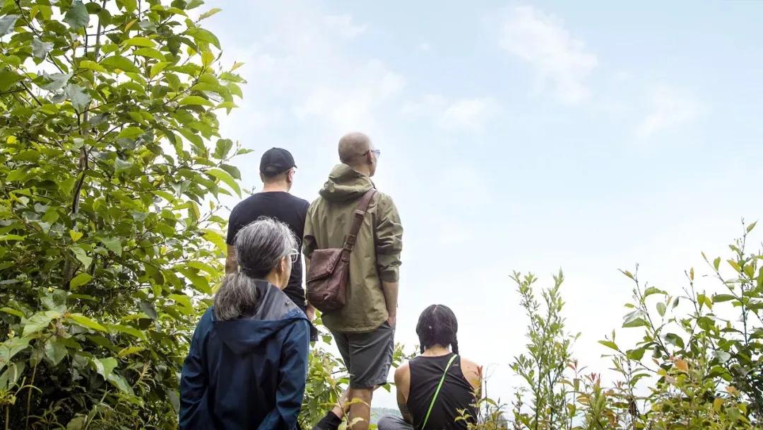 他们的歌声唱哭了周迅！这支隐居大理的殿堂民谣乐队要出圈了吗