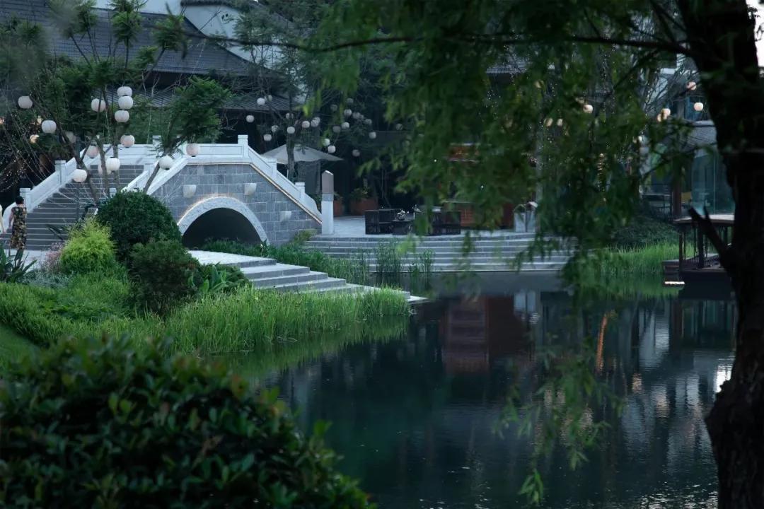 荣获乡村振兴优秀证书,2023乡村振兴成就奖