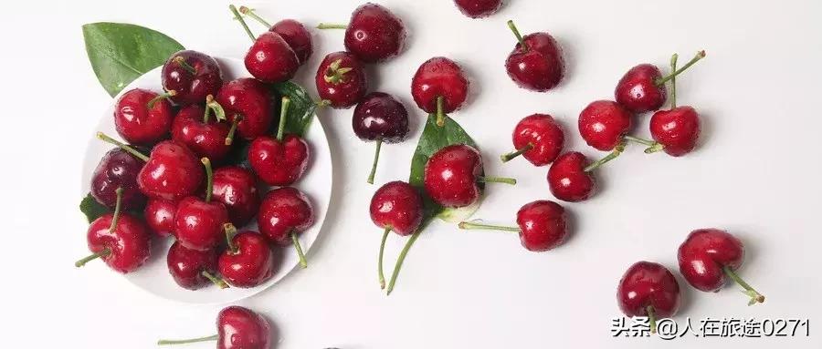 西安樱桃园,西安附近樱桃园采摘园位置