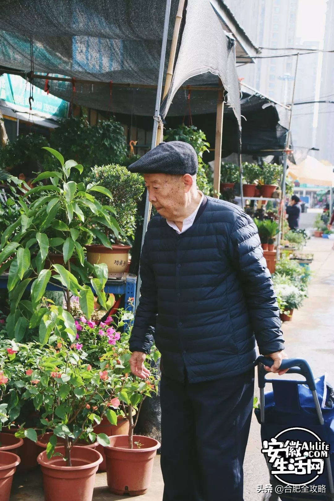 老周谷堆水果批发市场,老周谷堆古玩市场