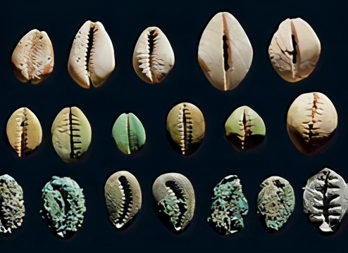 电视连续剧白花花,白花花的银子像什么