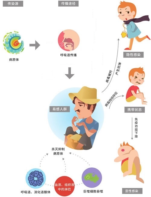 新冠病毒的前世今生及预防,揭秘新冠病毒的源头的视频