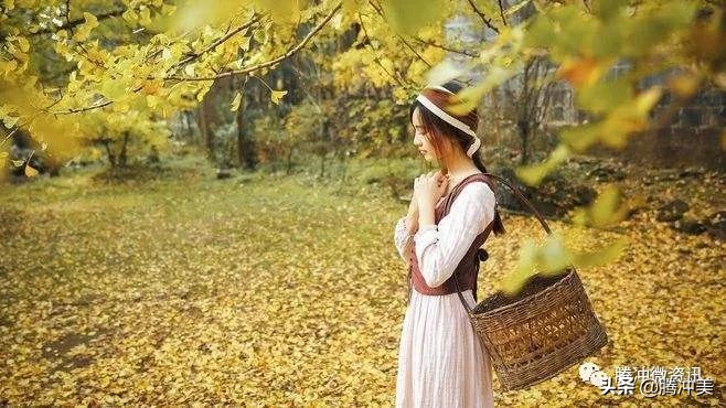 云南腾冲银杏村杙春园客栈对外招租，只为等待有缘的你