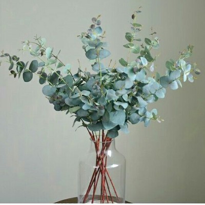 鲜花插花技巧专业术语,插花常见鲜花名称大全