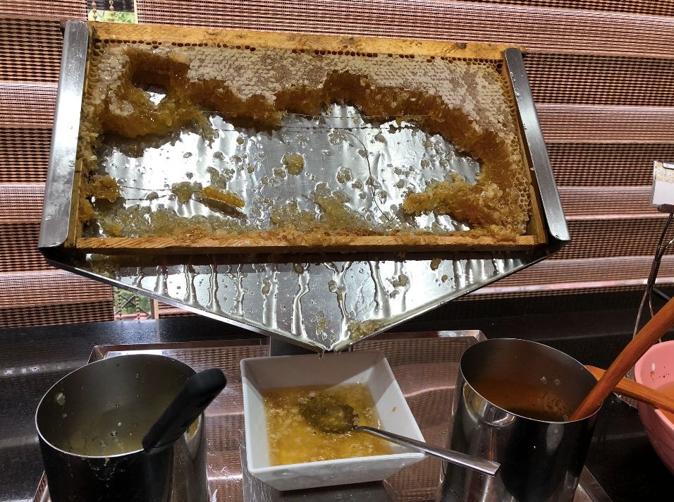 高加索三国如何区分东亚人：韩国，日本还是中国人？