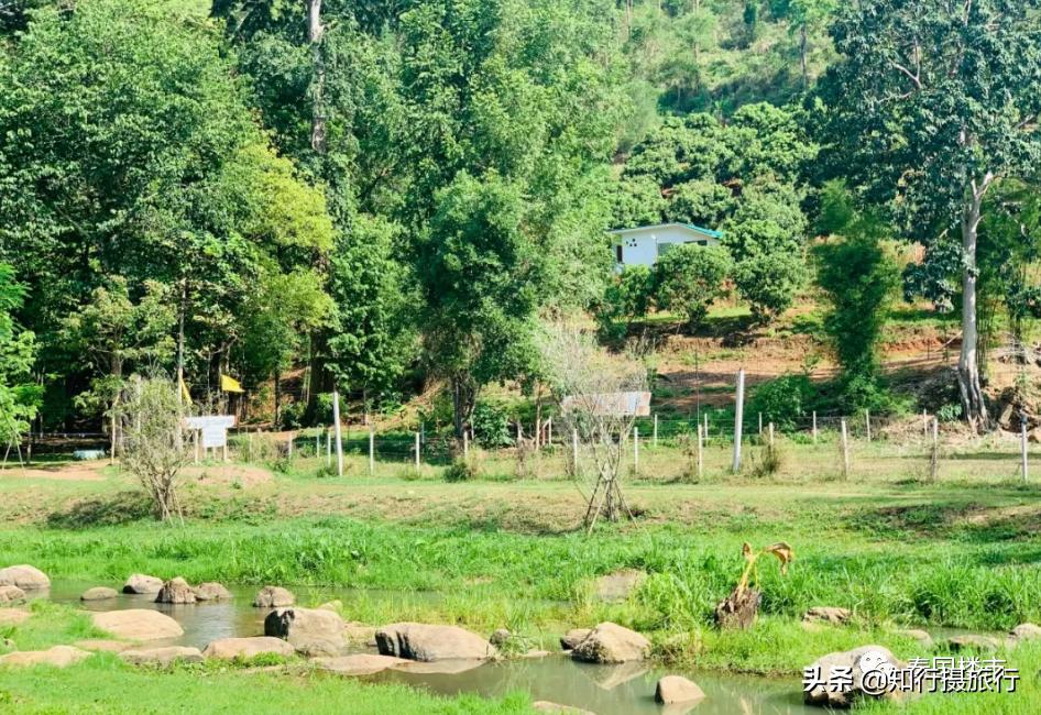 清迈一定要去的咖啡店,打卡泰国清迈6家瀑布咖啡馆