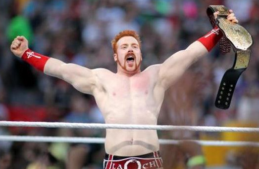 wwe公布了史上最佳的十大团体,wwe投票