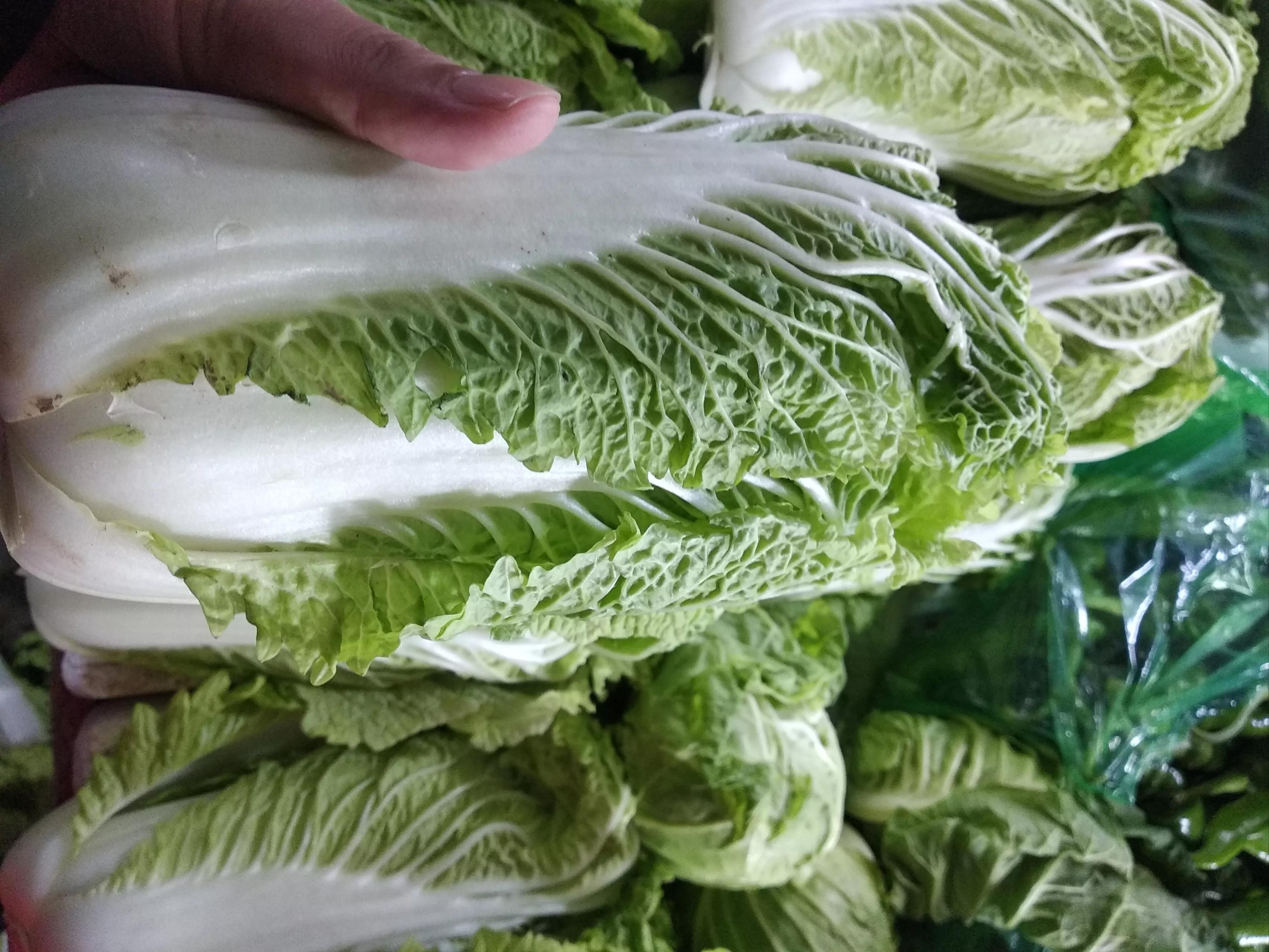 白菜上市！长棵的、短棵的、黄心绿帮的，哪种好？听听大妈怎么说