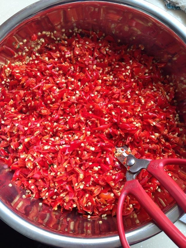 怎样消灭花上的红蜘蛛,快速根治花上的红蜘蛛的方法