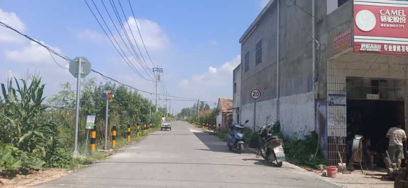 濉溪县南坪镇后备干部,濉溪县南坪镇财政所任书侠