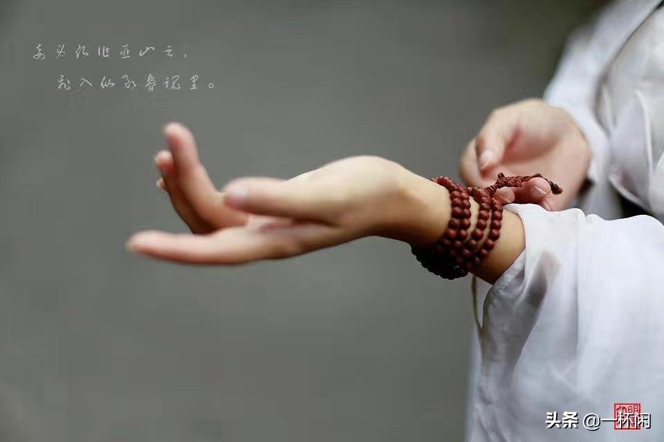 长歌行夏达名句,夏达经典语录长歌行