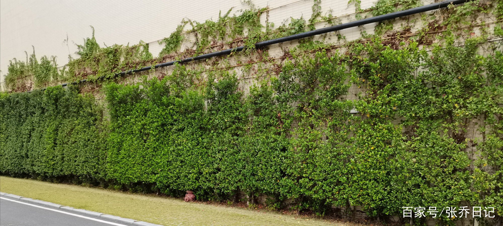 如何对待老板的正确方法,应对老板的话术