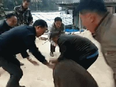 今日只为逗你一笑图片,每日一乐搞笑动图