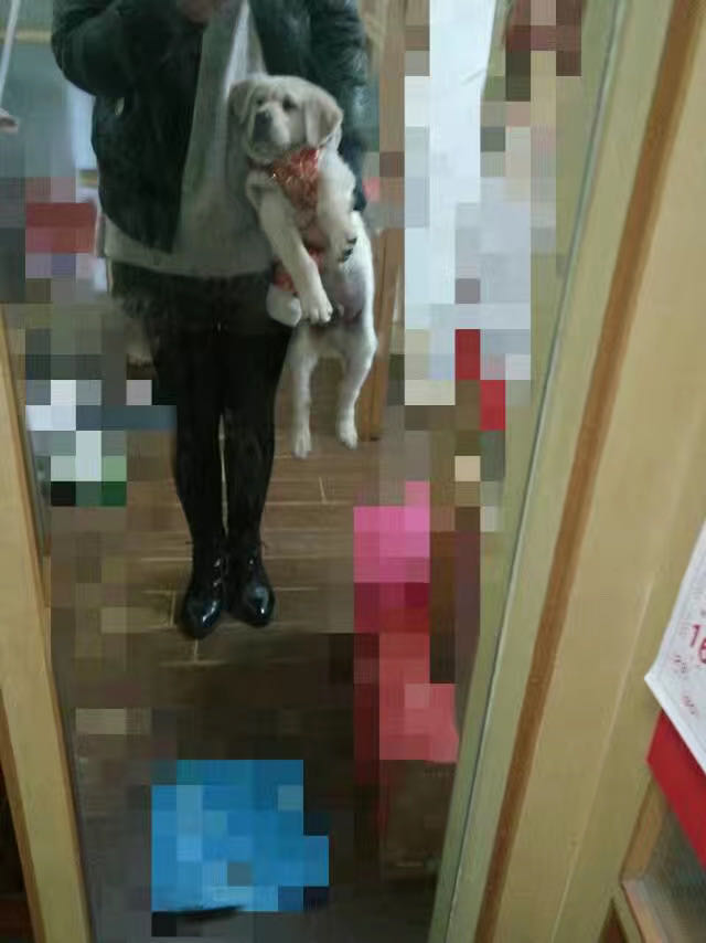 对不起我又想你了,对不起我又想你啦完整